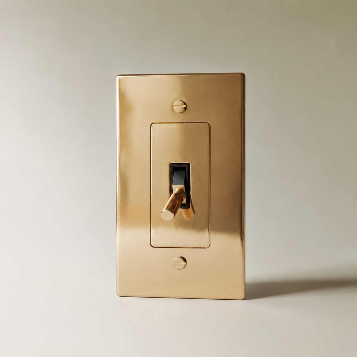 The Polished Brass Toggle Switch