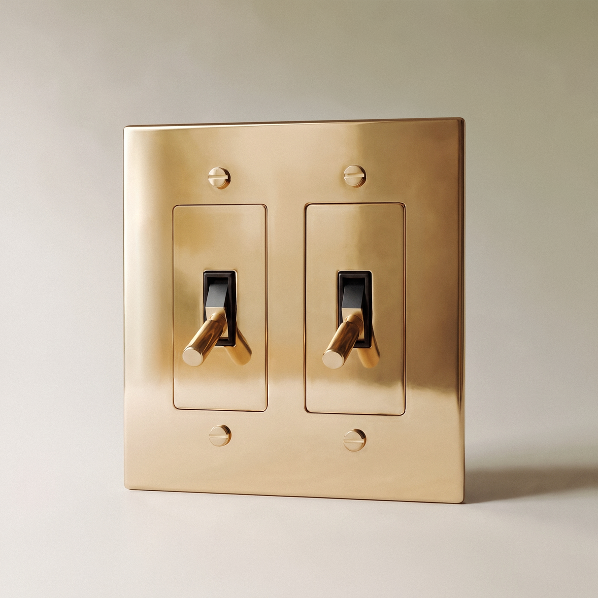 The Polished Brass Toggle Switch