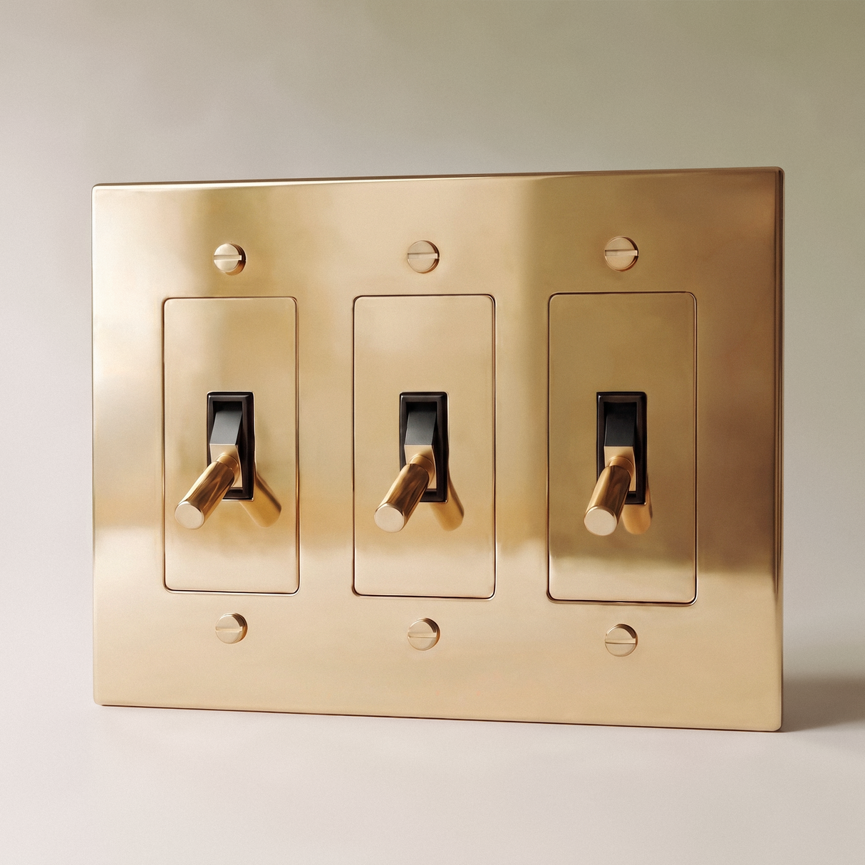 The Polished Brass Toggle Switch