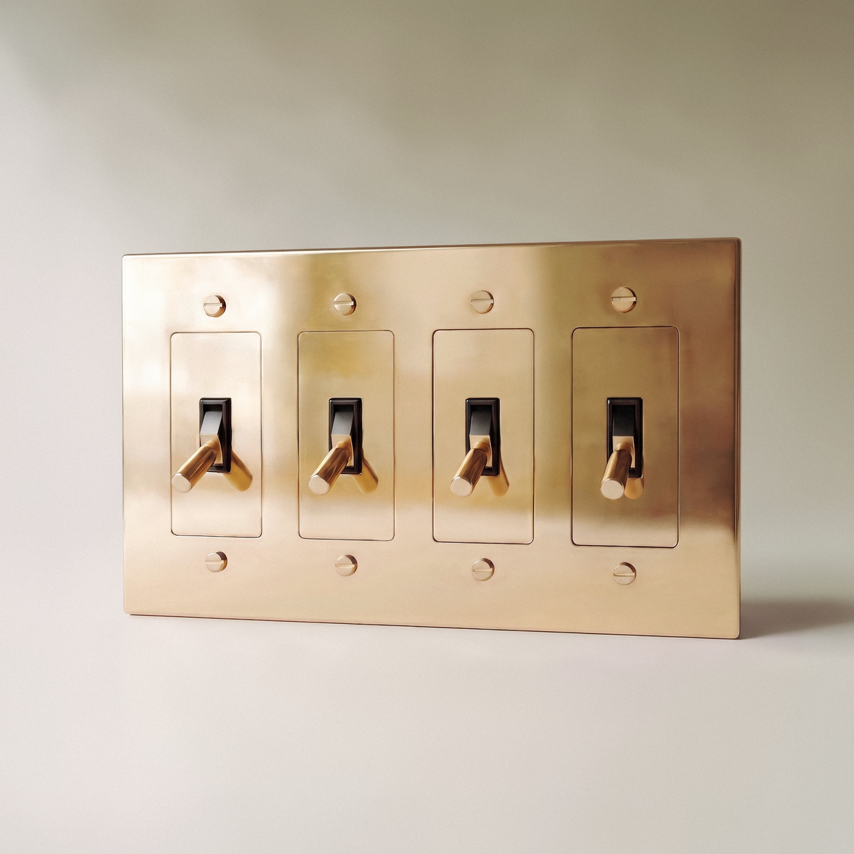 The Polished Brass Toggle Switch