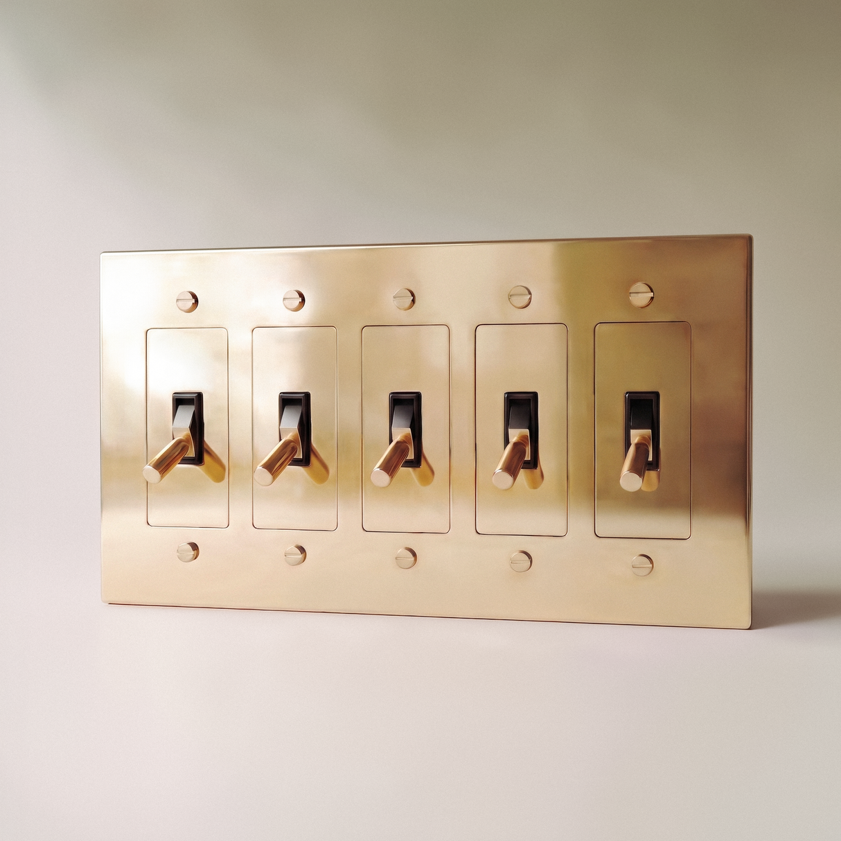 The Polished Brass Toggle Switch