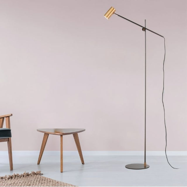 "Sleek steel floor lamp with an adjustable arm in a modern living room setting"