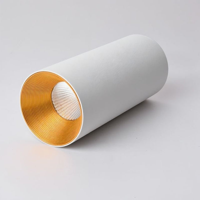 "Close-up view of a white ceiling light with a golden interior, designed to offer focused, ambient lighting for modern spaces."