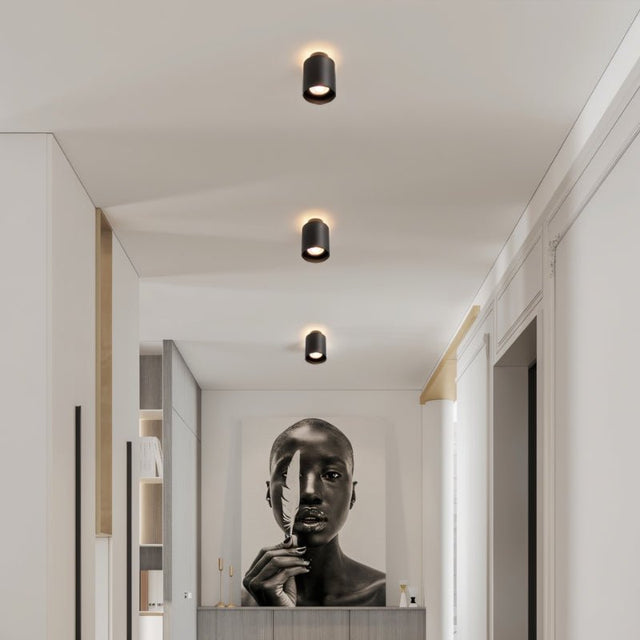 "Black ceiling lights installed in a contemporary hallway with artistic decor, sleek cylindrical design."