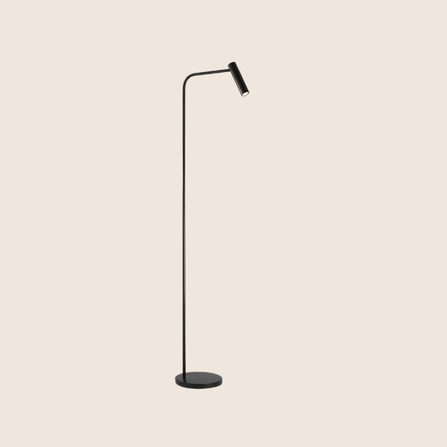"Sleek black floor lamp with an adjustable aluminum head and steel base"