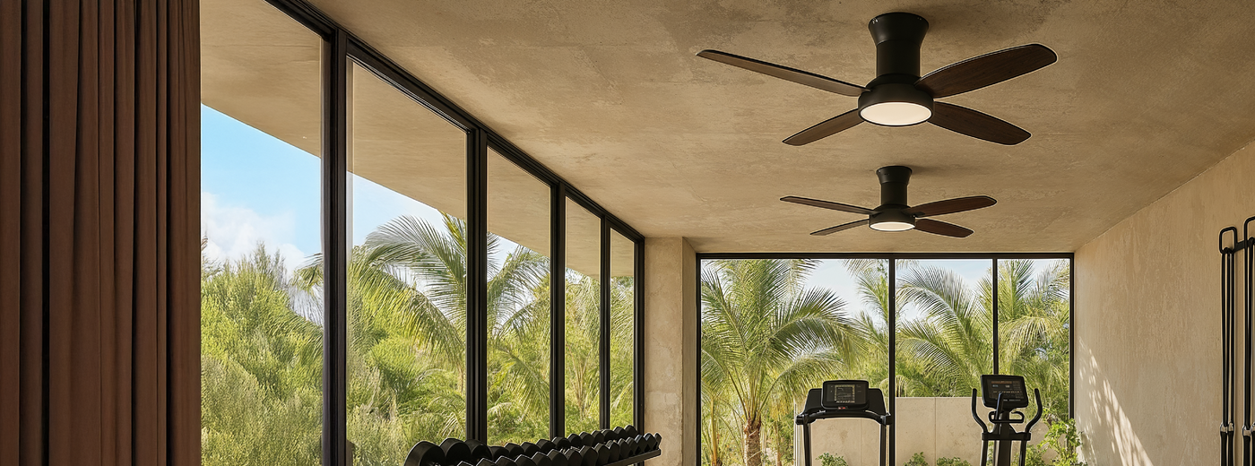 Nuit Ceiling Fans in a room with large windows showing palm trees outside
