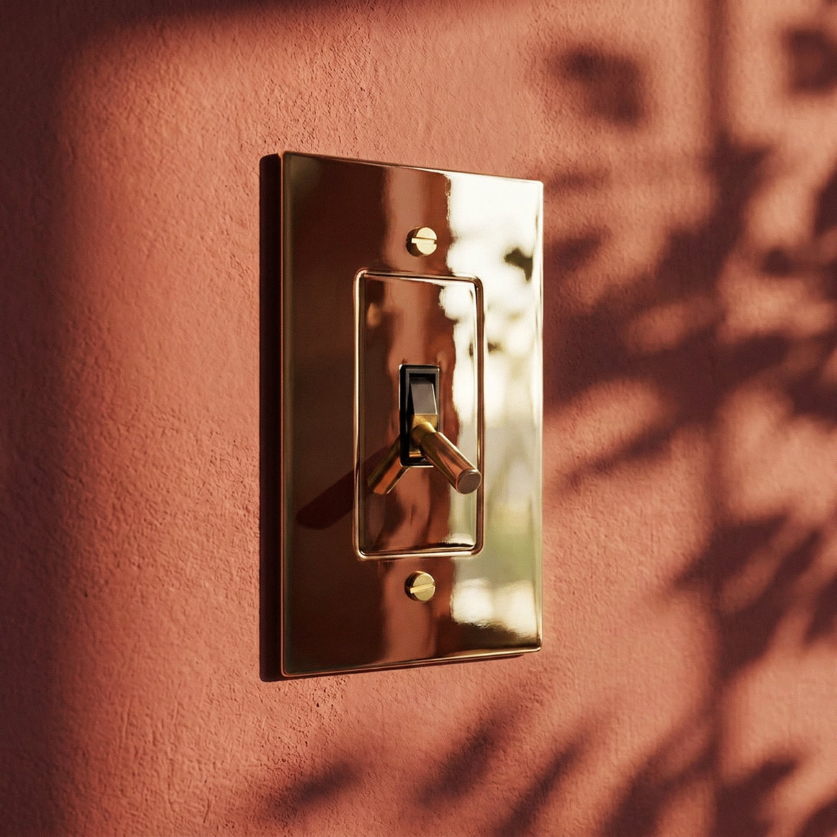 The Polished Brass Toggle Switch