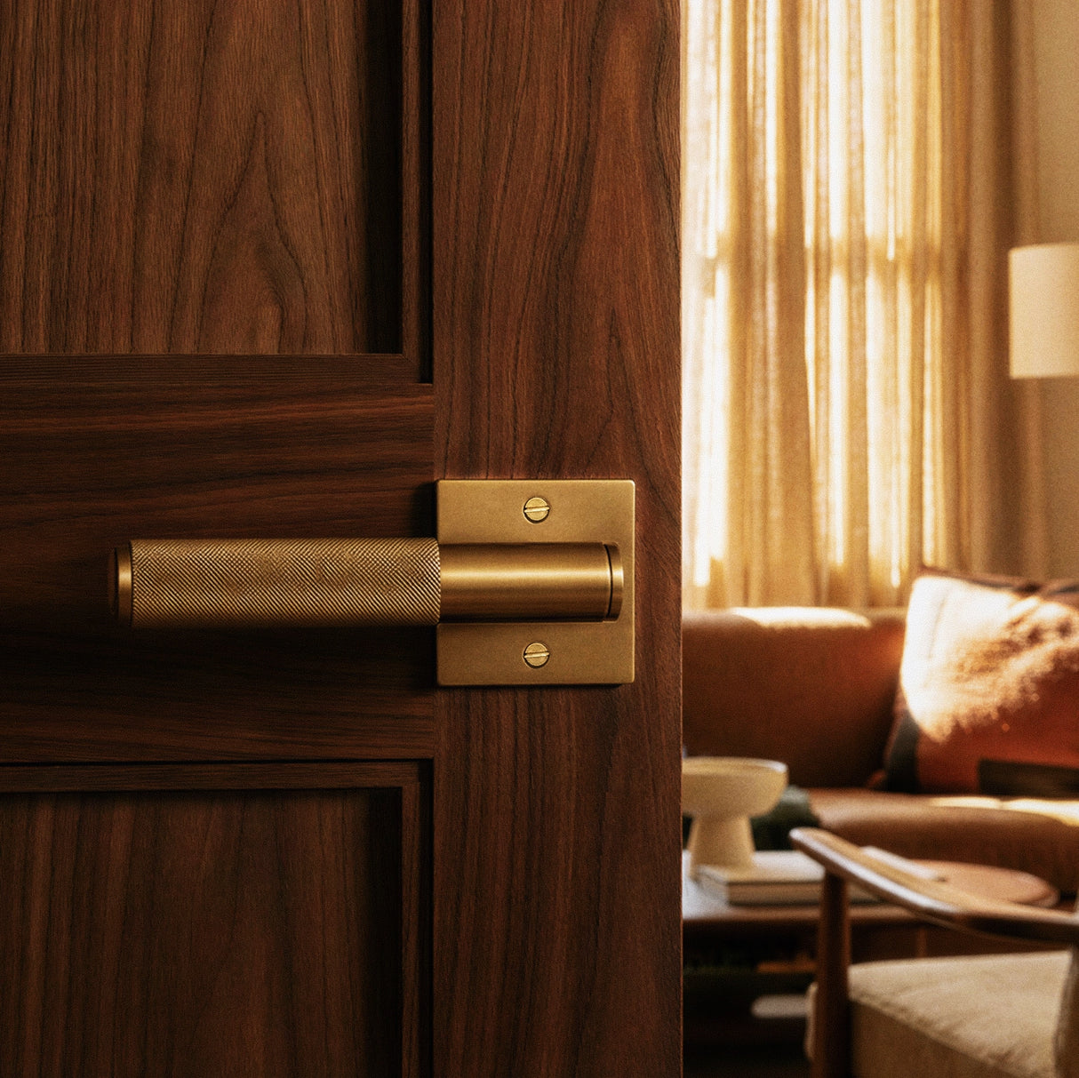 The Brass Door Handle