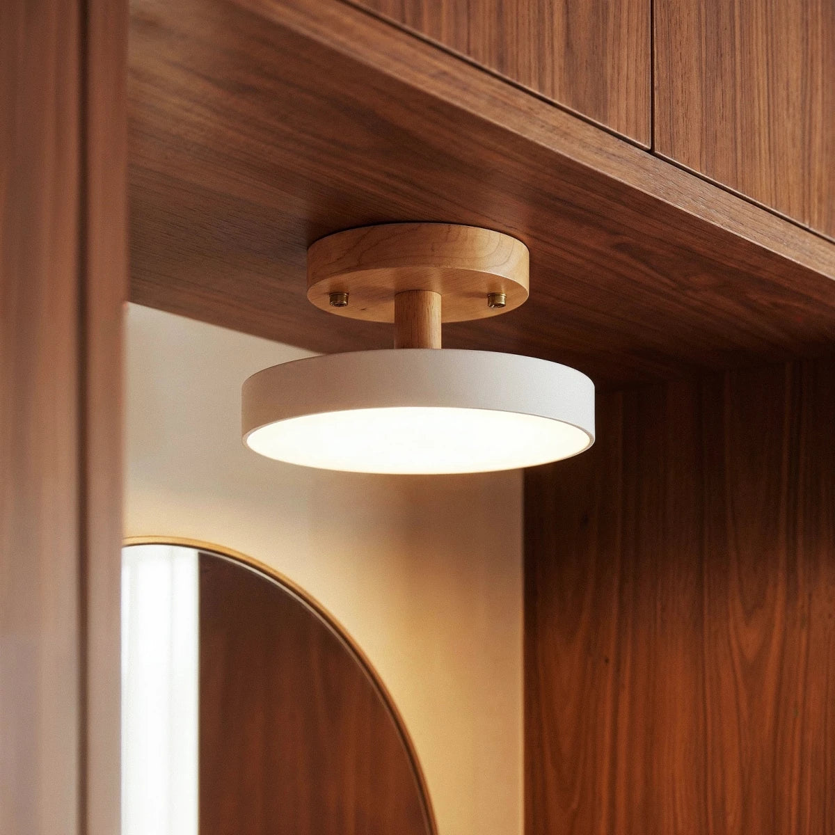 Ashane Ceiling Light - Residence Supply