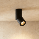 Axel Downlight