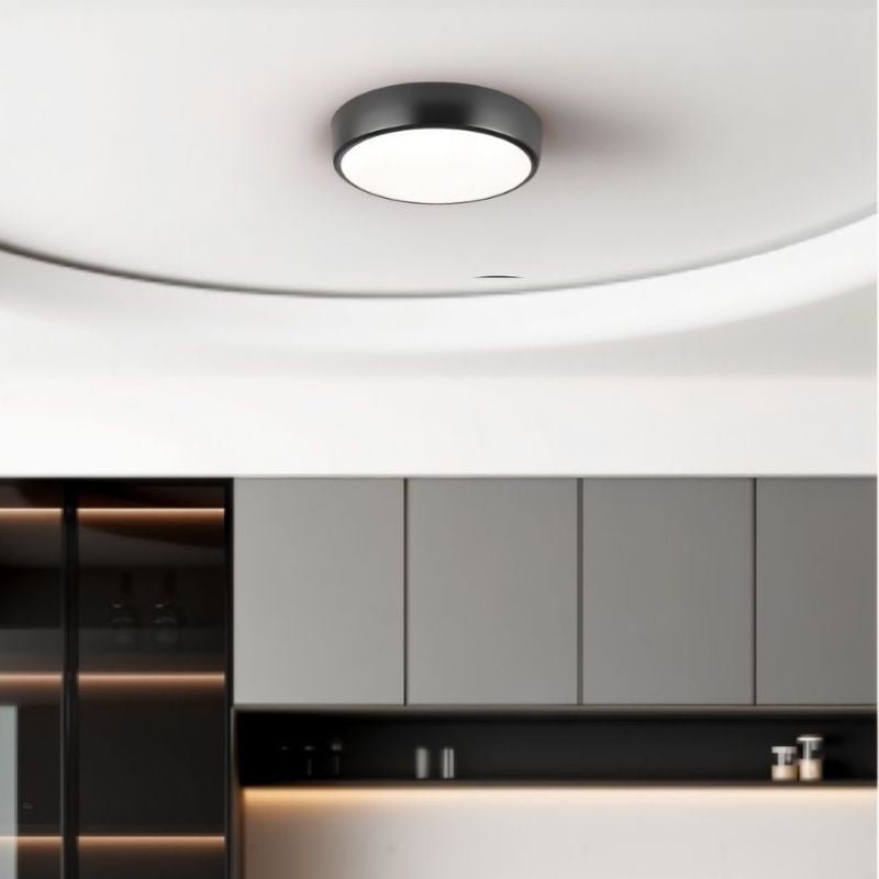"Modern black ceiling light with a sleek design, crafted from durable materials, ideal for contemporary spaces"