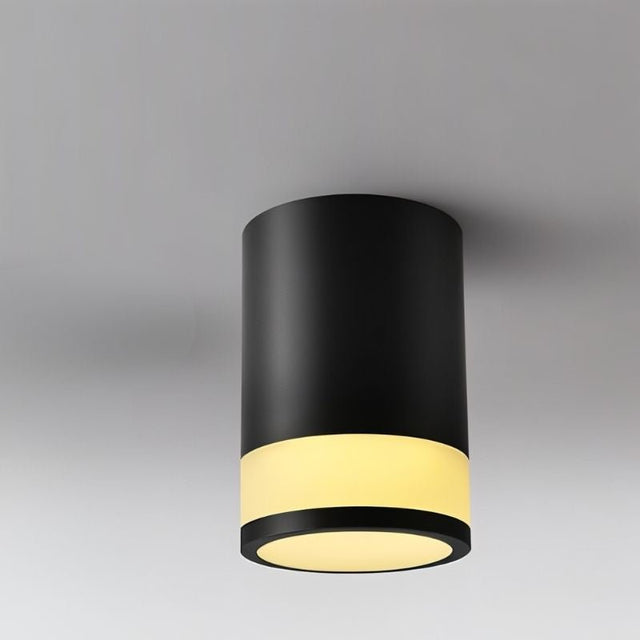 "Black cylindrical ceiling light with downward illumination, designed to provide focused lighting while complementing modern interiors."