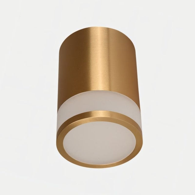 "Gold-finished ceiling light with a modern design, featuring frosted glass for even lighting. A stylish addition to contemporary interior spaces."