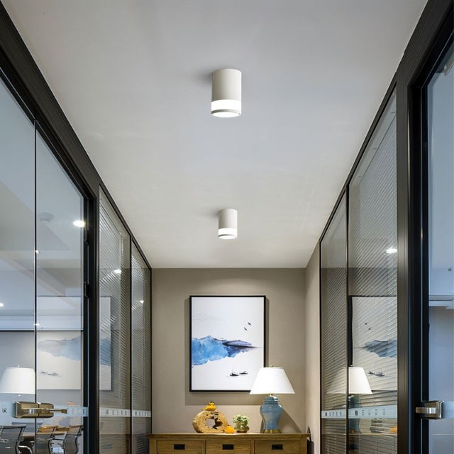 "Modern ceiling light installed in a hallway, providing balanced, glare-free illumination. The sleek cylindrical design suits contemporary interiors."