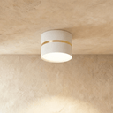 Chamani Downlight