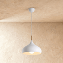 Claye Pendant Light - Residence Supply