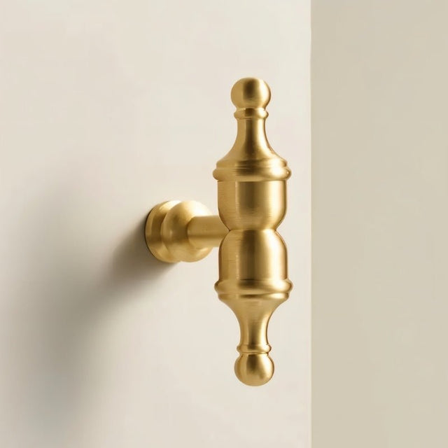 "Close-up of a polished brass cabinet knob with a refined, sculptural design."