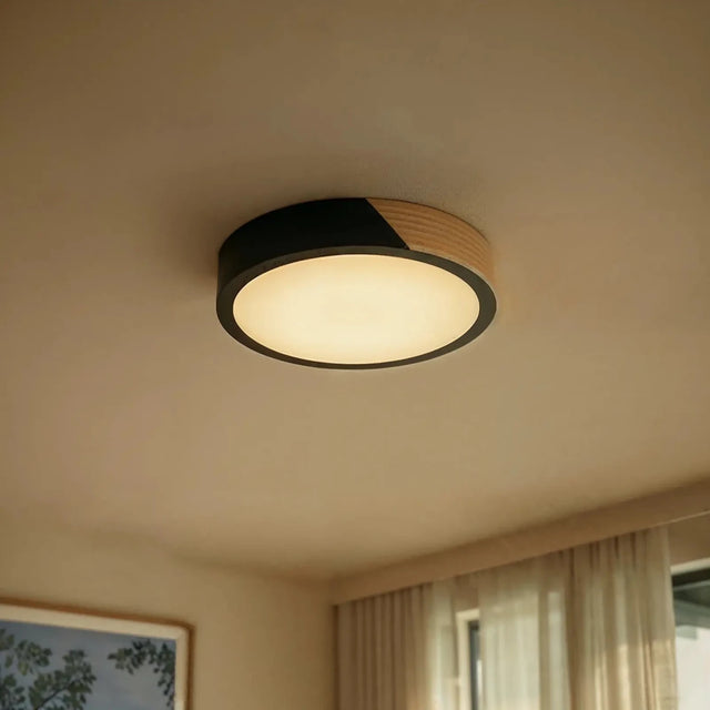 Delphi Ceiling Light - Residence Supply