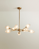 Delvo Chandelier - Residence Supply