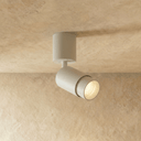 Edwin Downlight