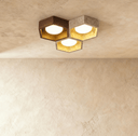 Electa Ceiling Lamp