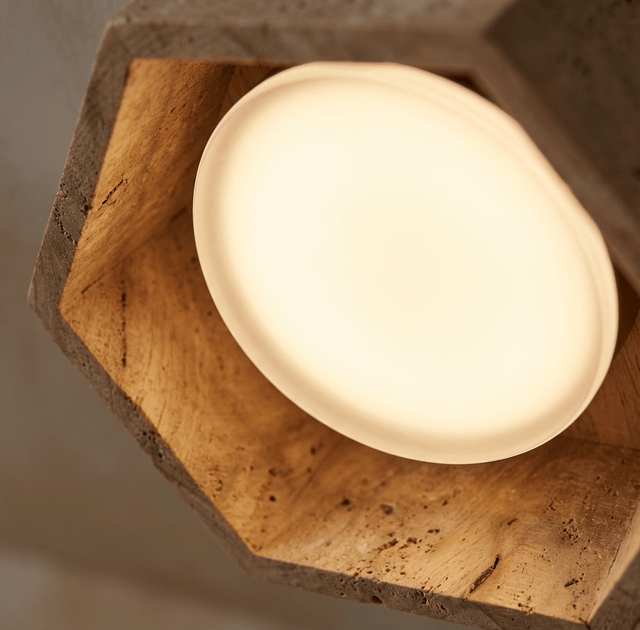 Electa Ceiling Lamp - Residence Supply