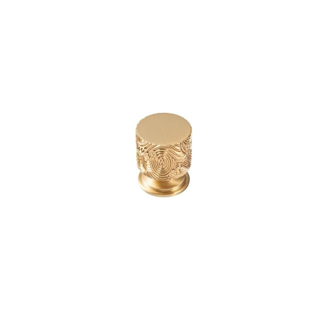 "A gold textured Erdas knob on a white background."