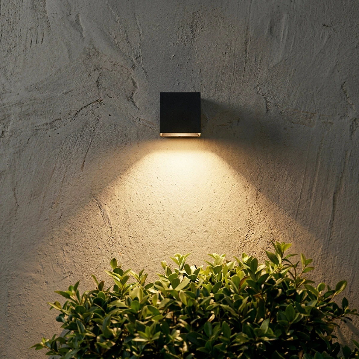 Evelyn Outdoor Wall Lamp - Residence Supply