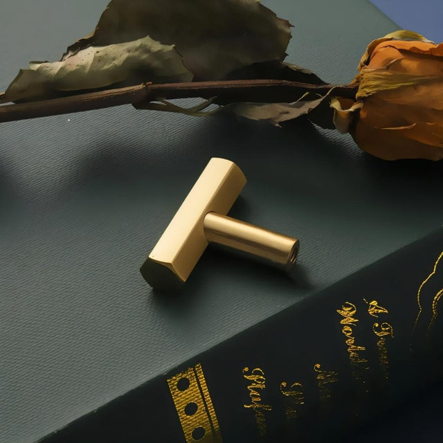 "Close-up of a modern brass rectangular knob with a cylindrical mount, resting on a book."
