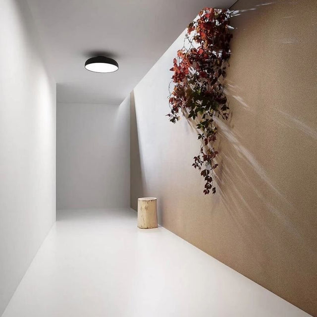 "Contemporary hallway with a minimalist Noira ceiling light fixture made from aluminum and steel, providing uniform and optimal light diffusion for a sleek and modern aesthetic."