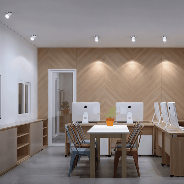 Oryal Downlight - Residence Supply