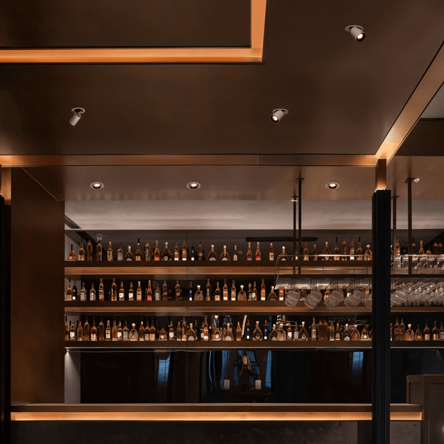 Oryal Downlight - Residence Supply