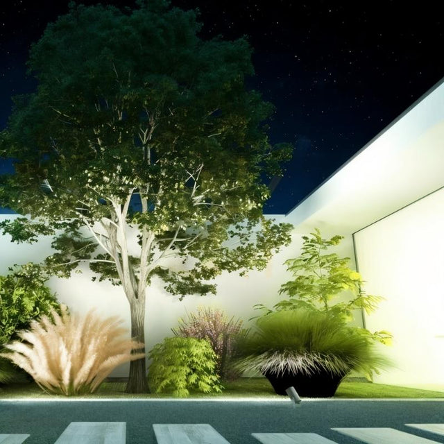 "Nighttime garden scene with a large tree, various plants, and pathway, illuminated by subtle lighting against a night sky with stars."
