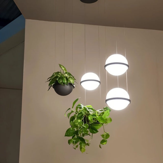 "Modern pendant lights with spherical frosted glass diffusers and iron bands, grouped with hanging planters for a contemporary look."