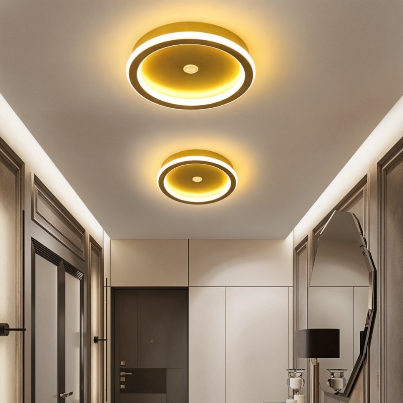 Rohesia Ceiling Light