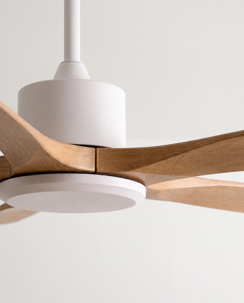 Ruha Ceiling Fan - Residence Supply