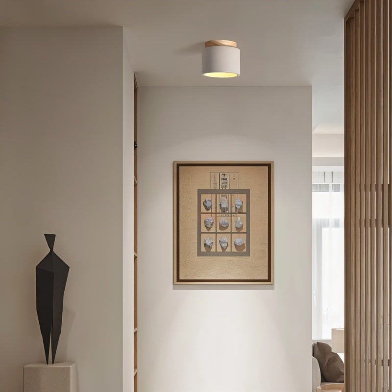 Sasil Downlight