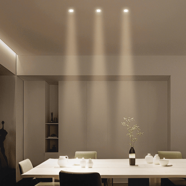 Silis Adjustable Downlight - Residence Supply