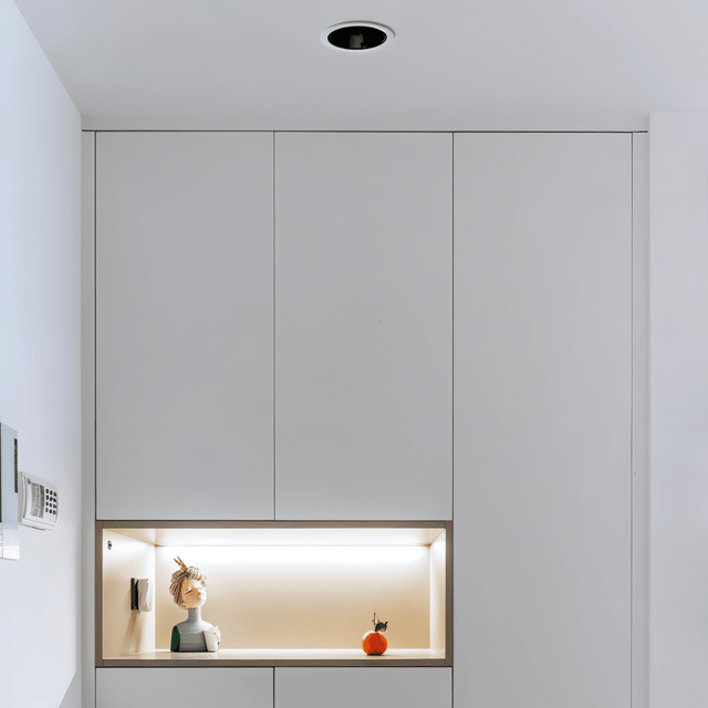 Silis Adjustable Downlight - Residence Supply