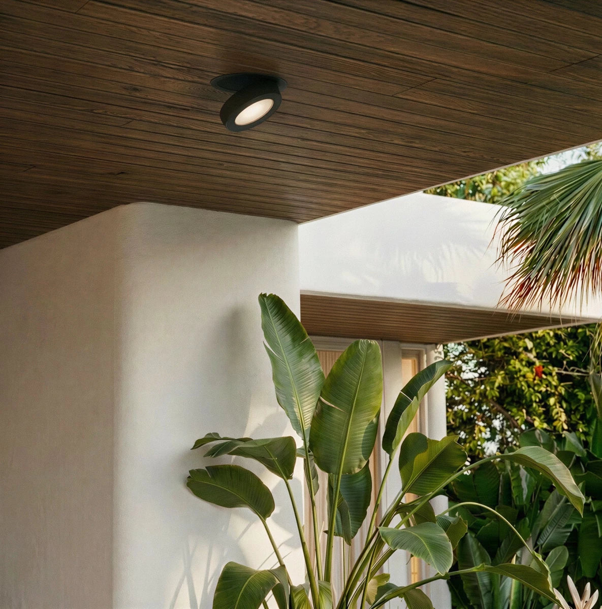 Simon Downlight - Residence Supply