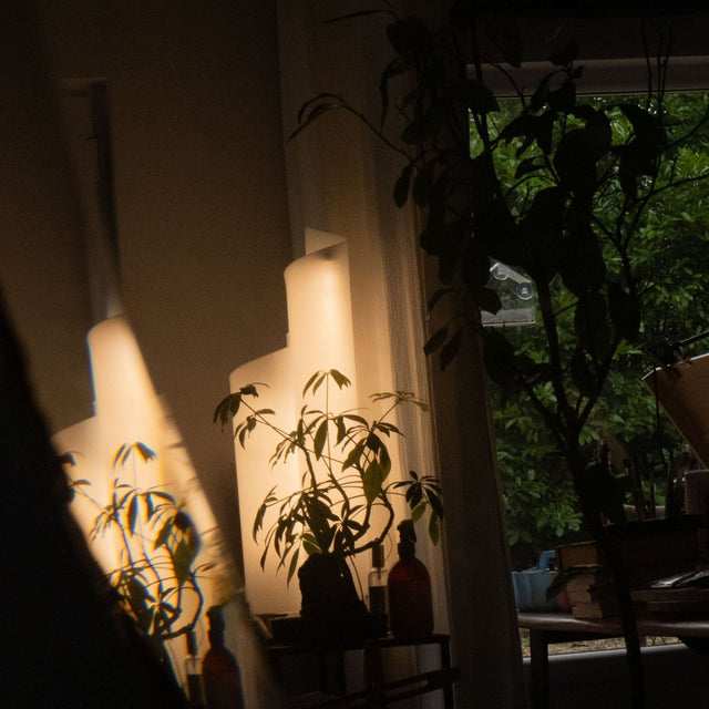 Stellora Table Lamp reflected in a mirror, blending with indoor greenery and natural light, perfect for stylish home interiors.