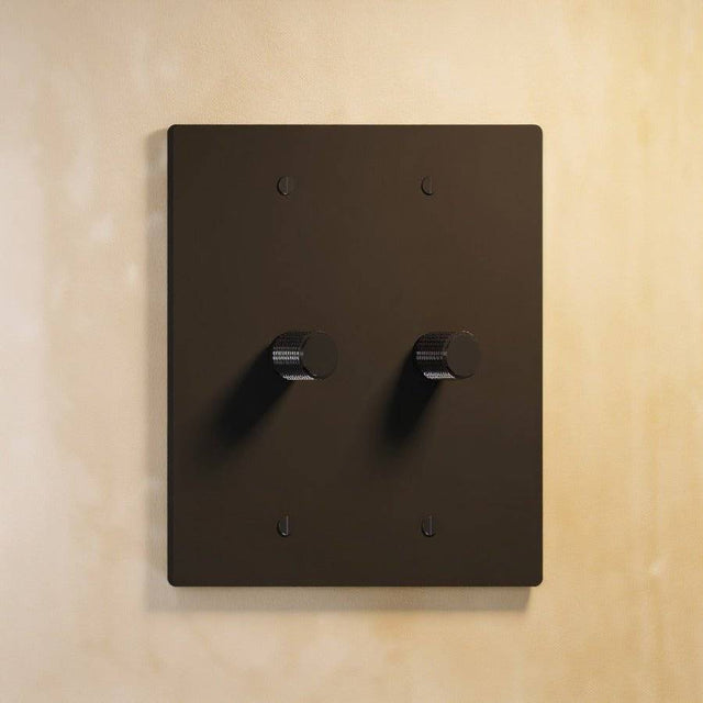 Two-gang matte black rotary dimmer switch with matching black knobs, ideal for modern and industrial-style interiors.