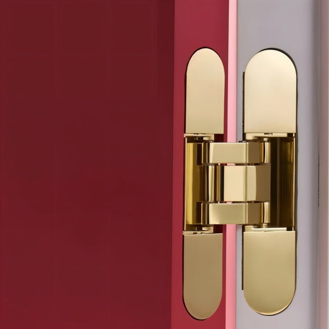 Tuarai Recessed Door Hinge