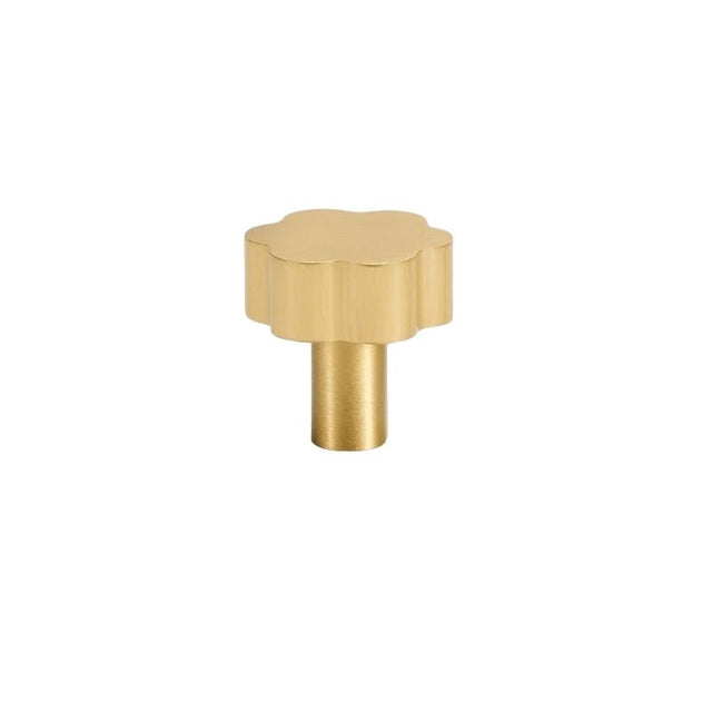 "Gold brass floral knob with brushed finish, isolated on a white background."