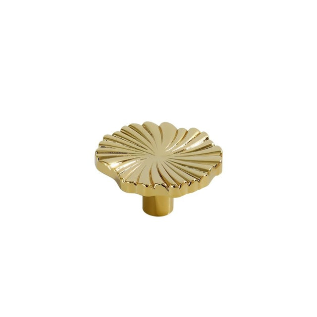 "Gold brass fan-shaped drawer pull isolated on a white background."