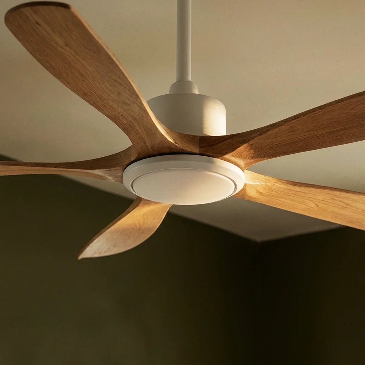 Ceiling Fans