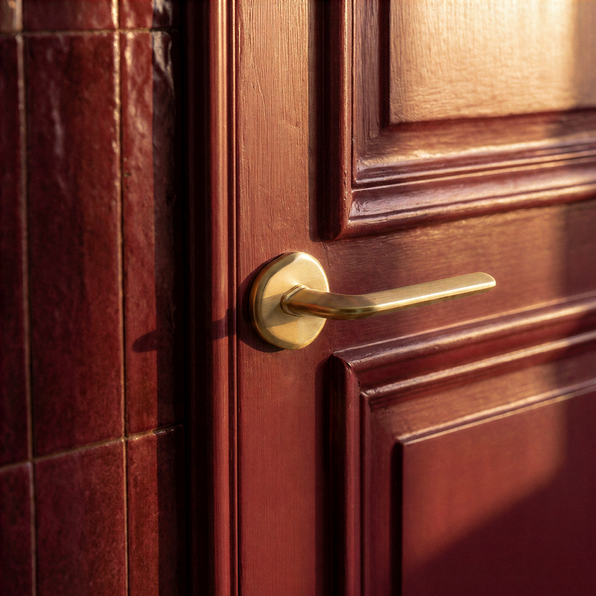 Enzo Door Handle in Satin Brass, on a plain background