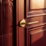 Enzo Door Handle in Satin Brass, on a plain background