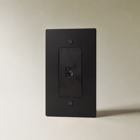 The Brass TV Socket (1-Gang)