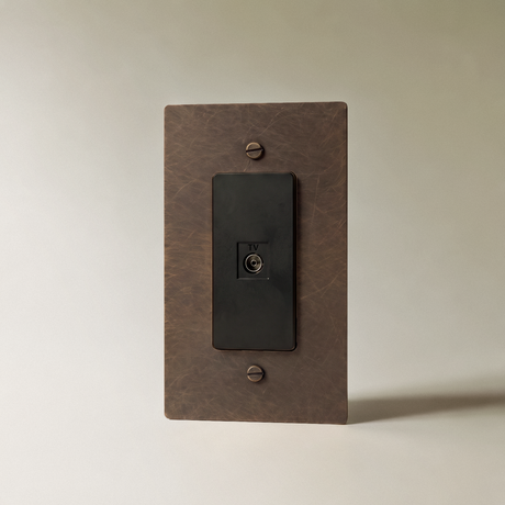 The Brass TV Socket (1-Gang)